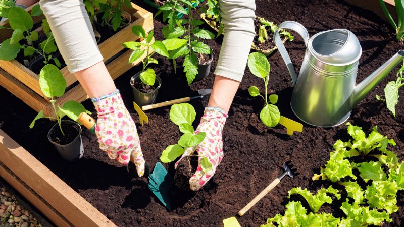 Flower Bed Installation Cost — Cost of flower bed installation
