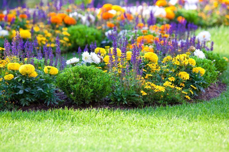 Vibrant Flower Bed