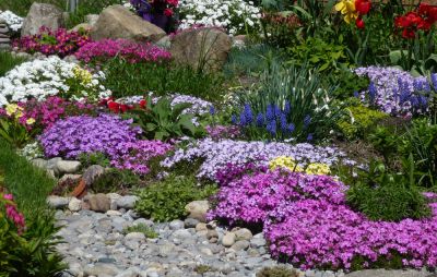 Enhance the Appearance of Your Garden with Flower Planting!